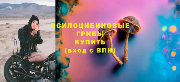 PSILOCYBIN Баксан