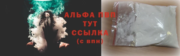 PSILOCYBIN Баксан