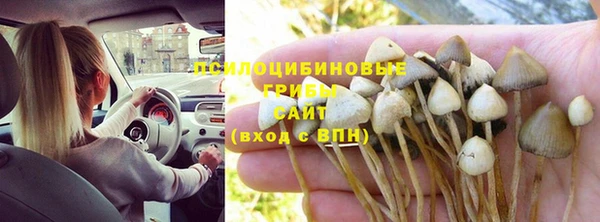 дурь Семёнов