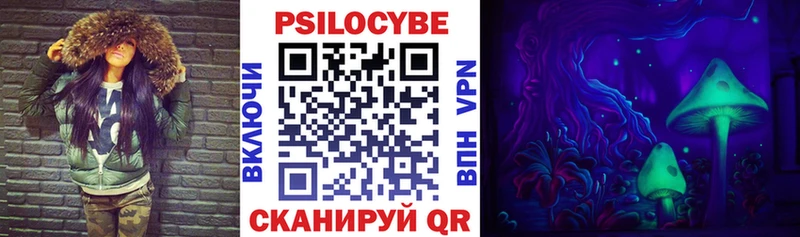Псилоцибиновые грибы Magic Shrooms  купить закладку  Заозёрный 